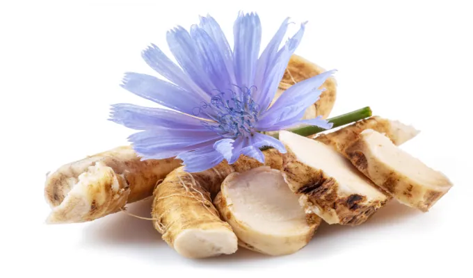Chicory Root Inulin – EmmaReleif prebiotic fiber ingredient