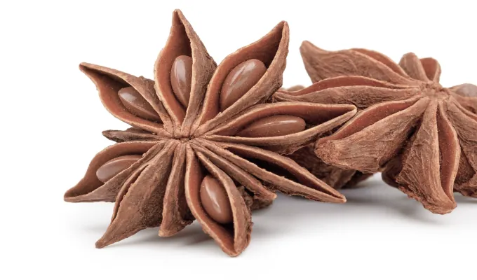 Star Anise – EmmaReleif natural digestive relief ingredient